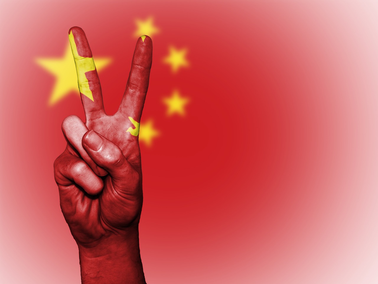 澳门一肖一码必中一肖一，揭秘背后的真相与风险
