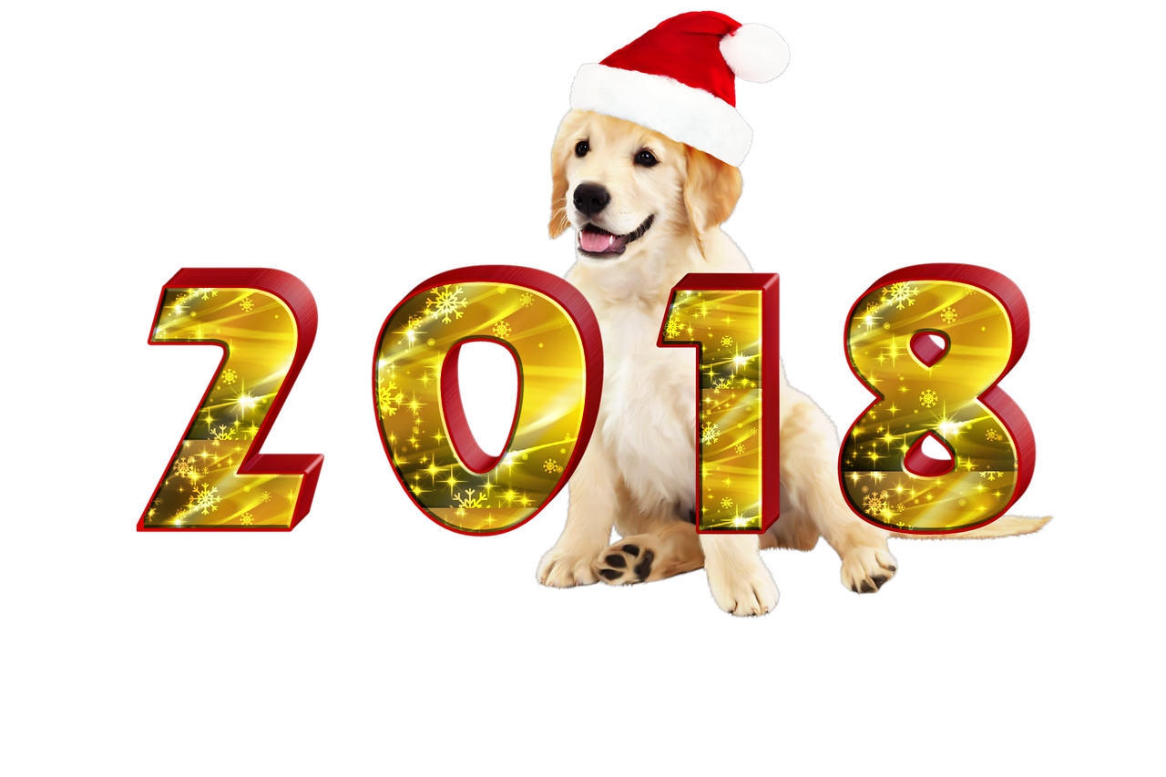 2024年澳大利亚彩票之夜，揭秘今晚的幸运数字