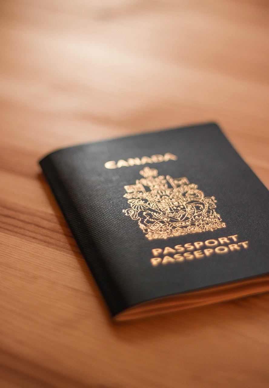 探索双色球，43号码的奇妙之旅
