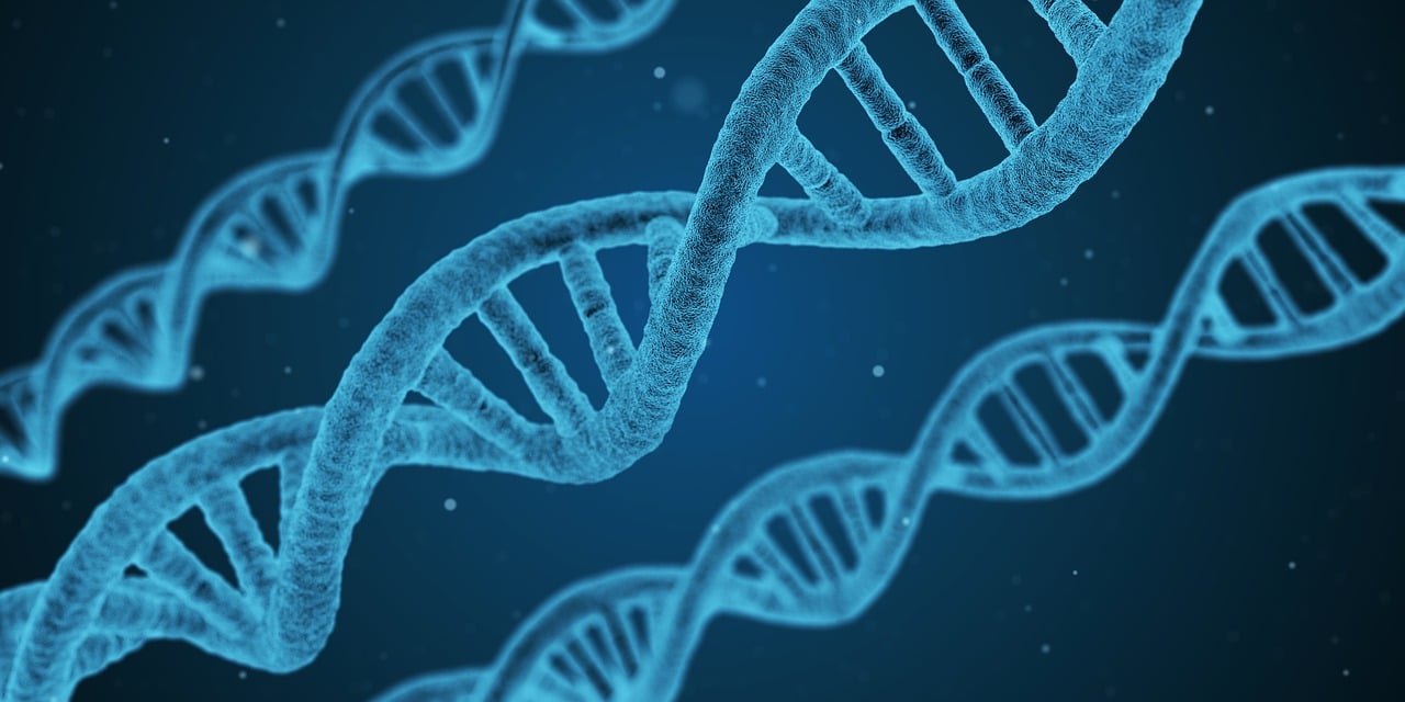 福彩3d，科学选号与理性投注的智慧—揭秘杀号定胆在3d之家的应用